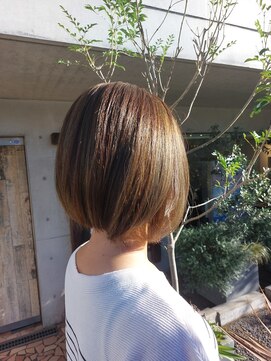 タエビスアリッサム(Taebis Alyssum) イルミナカラー(3Dカラー、白髪ぼかし、北習志野)