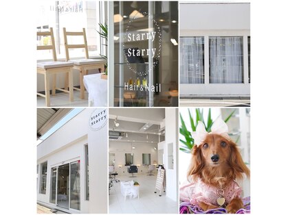 スターリースターリー(Starry Starry)の写真