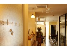 オハナ(ohana)の雰囲気（木のぬくもりと自然光の差し込む位優しい店内です。【表参道】）