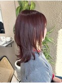 ボルドー×くびれミディアム