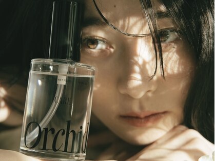 エンチャンテッド 天神大名(enchanted...)の写真