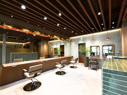 ニコ(NICO)の写真