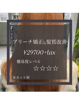 ヴィオラスバイポッシュ ギンザ(Violus by Posh GINZA)&nbsp;ブリーチ矯正by髪質改善