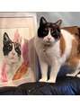 ムルチュラ(muruchura) マイペースで愛猫のおいも♀13歳です☆毎日癒してくれます