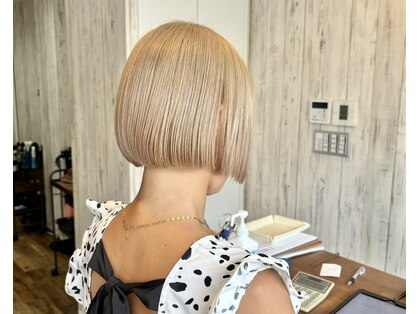 ジェミニ(Gemini)の写真
