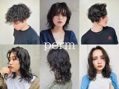 マセナ(Masena)の写真