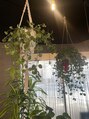 グレープ(GRAPE)&nbsp;店内の植物達＊[入谷/上野/浅草/鶯谷]