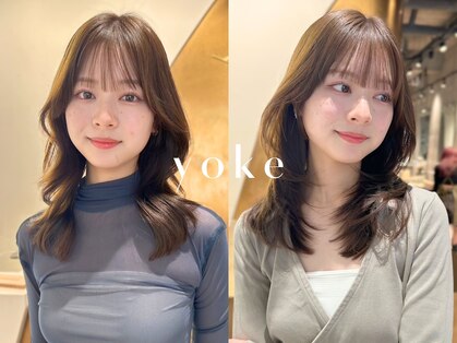 ヨーク(yoke)の写真