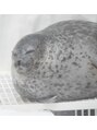 ヴィアーレ(VIALE) 動物園や水族館、カフェに通う動物好きです。海豹が最推し♪