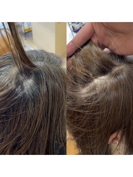 サイ(SAI) グレージュ白髪ぼかし