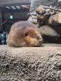 ヘアーアンドデザイン アトリエ(atelier)&nbsp;お休みの日は動物園によく行きます！可愛くて癒されています♪