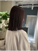 〈押上 半個室〉パープルカラー