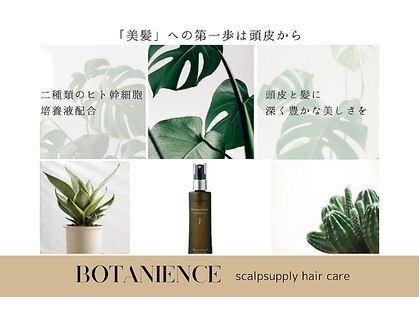 アトリエ モーリスヘアー 巣鴨店の写真