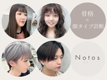 ノトスヘアー(Notos hair)の写真