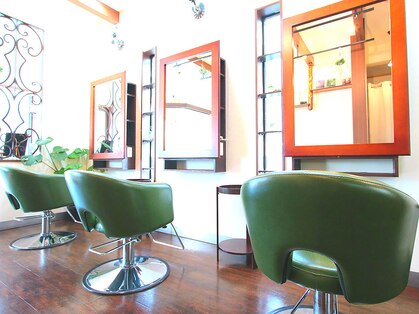 ダズリング(Dazzling)の写真