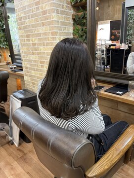 プランツヘアー 透明感グレージュ