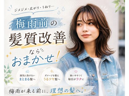 ジエクト ヴィシア(The Ect VIXIA)の写真
