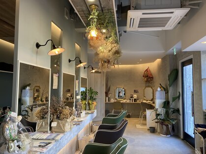 リッコ(Ricco)の写真