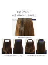 髪の毛内部のダメージを内側から修復し水分で満たしてしなやかで柔らかい髪の毛にしてくれるH2ONESTとは？