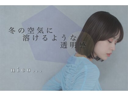 ニコ(nico...)の写真