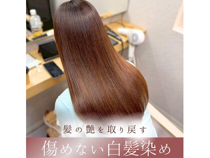 ストーリー 今福鶴見店(STORY)の写真