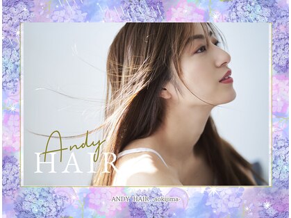 アンディヘア アオキジマ(ANDY HAIR aokijima)の写真