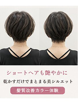 リアン(Lien) 【フルカラー】【白髪×艶髪】髪質改善カラー体験
