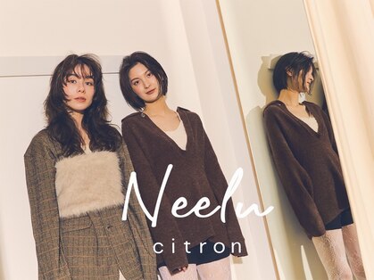 ニール シトロン(Neelu citron)の写真