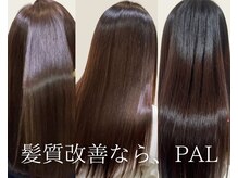 パル(PaL)の雰囲気（今話題の髪質改善もパルなら、様々な髪質に対応可能！）
