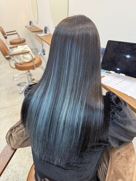 スワン(SWAN) Black × sky blue