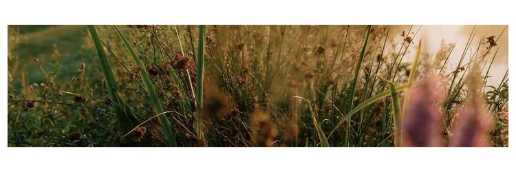 リーファ(reefur)のサロンヘッダー