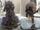 セブンスヘブン(SEVENTH HEAVEN)の写真/【似合わせヘアアレンジ￥4,400】話題のカチモリから愛されゆるふわまで、どの角度から見ても可愛いヘアに☆