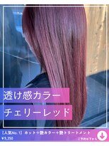 ネリネ(Nerine)&nbsp;【ピンクベージュ】