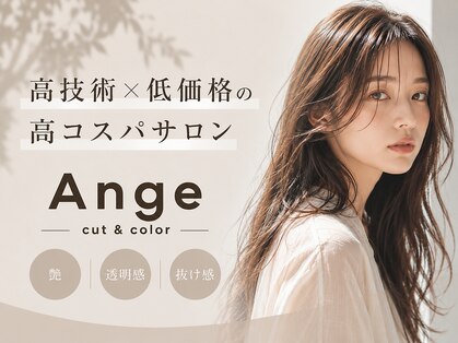 アンジェ(Ange)の写真
