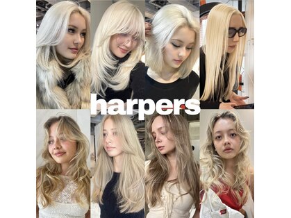 ハーパーズ 渋谷(harpers)の写真