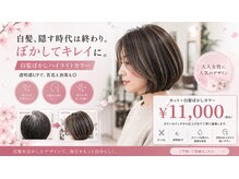 サクラカワイイ(sakura kawaii)の雰囲気（当日TEL予約は080-1750-9215までお気軽に）