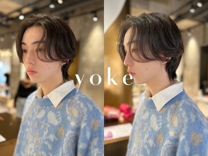 ヨーク(yoke)の写真