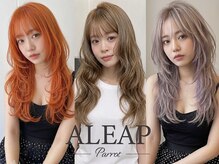 アリープパロット(ALEAP parrot)