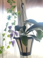 グレープ(GRAPE)&nbsp;入谷のアットホームヘアカラー専門店♪[入谷/上野/浅草/鶯谷]