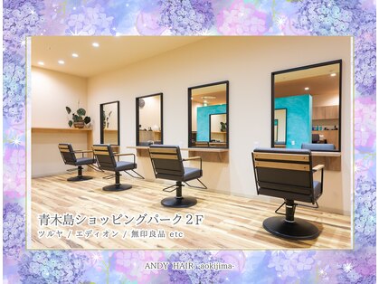 アンディヘア アオキジマ(ANDY HAIR aokijima)の写真