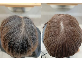 ディアナ ダル(diana dal)の写真/白髪を隠さず、味方に変える新発想。あなたらしさを引き出す、大人のためのデザイン・グレイカラーをご提案