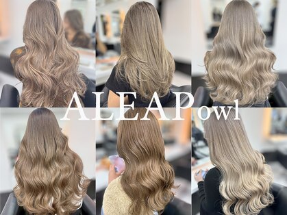 アリープアウル(ALEAP owl)の写真