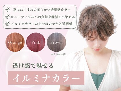 ルータス(loutus)の写真
