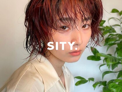 シティ(sity.)の写真