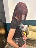 ボルドー カラーにイメチェン【菅野竜矢】