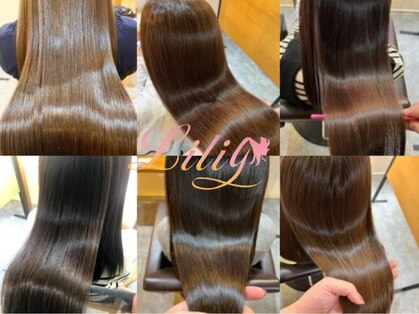 リリー(Liliy)の写真