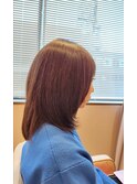 <フルウィッグ>セミロング