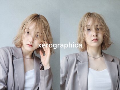 キセログラフィカ(XEROGRAPHICA)の写真