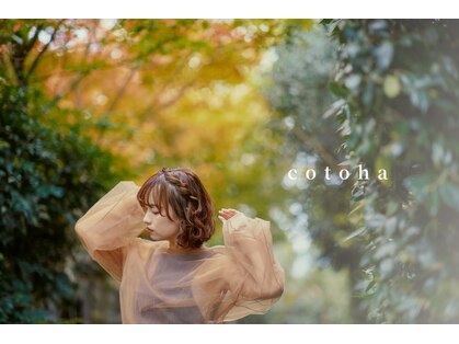 コトハ(cotoha)の写真