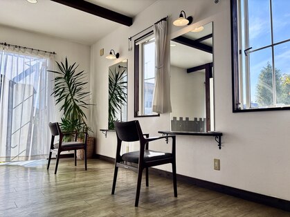 クローバー(clover)の写真